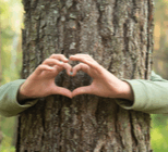 מיוחד לט"ו בשבט: הסודות של העצים-תמונה